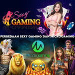 PERBEDAAN PRAGMATIC LIVE DENGAN PRAGMATIC PLAY (3)